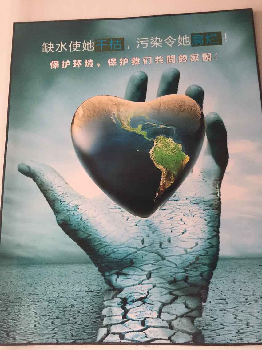 学生处组织开展节能宣传周和低碳日活动