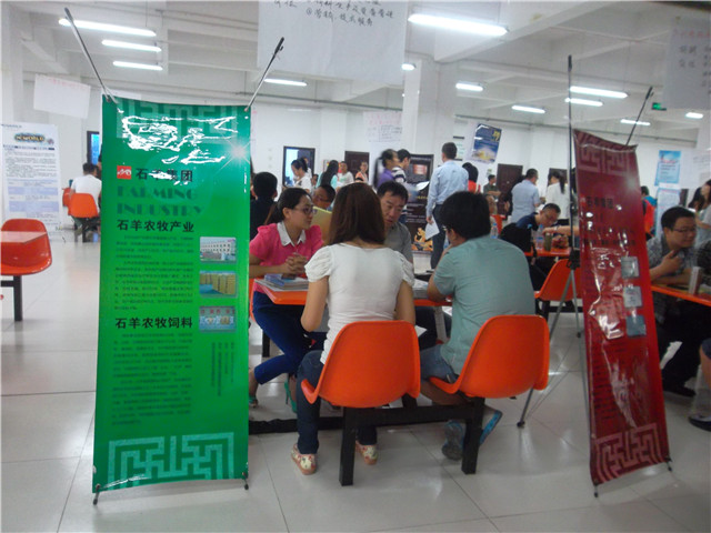走在当下 赢在未来——经管系学生积极参与夏季招聘会